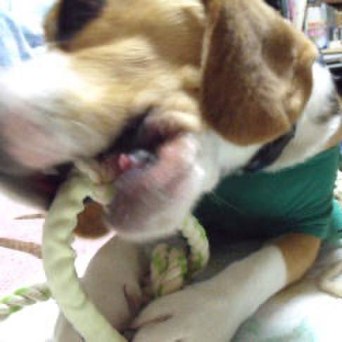 4da02466 4cbb 4db9 93e3 4d4b961f3451 1714774739420