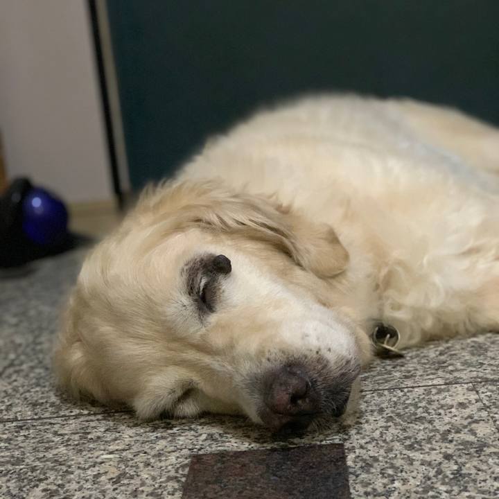 4da05ad0 30c9 4912 b2c2 27f3137855d0 1595545841547