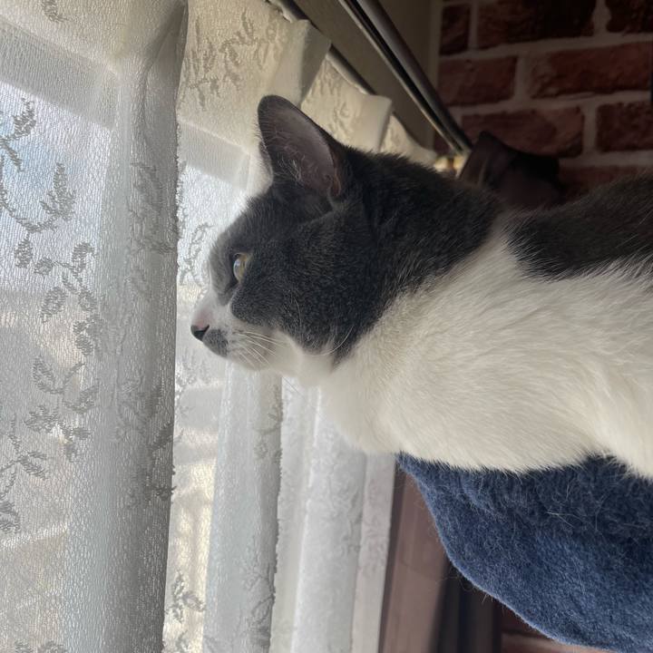 4da05f30 d6f2 4e03 ac38 6afc5649a779 1695683448965