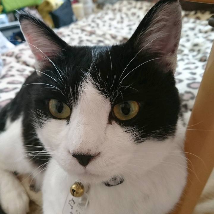 4da063d8 cd43 4ff5 887a dfd7df5a612e 1529570728811