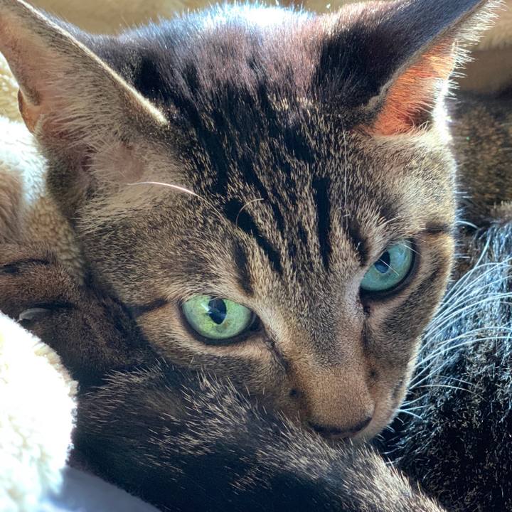 4da06f2b 4e0a 4a35 8232 ffe71dd93743 1543109509024