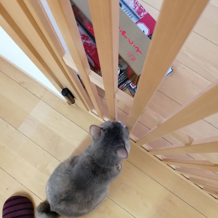 4da08b88 d7ea 4493 bb94 c43934388517 1553848599312