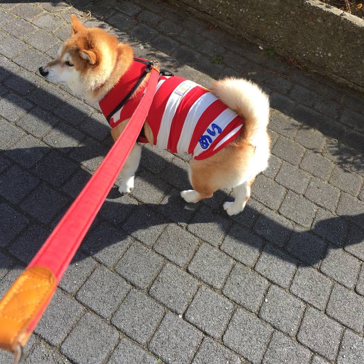 4da08dd4 fcc6 47b0 8de4 15369be6cda9 1609993166813