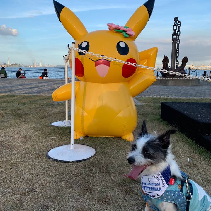 4da0c456 39da 459f abfa 4654299004e3 1565604660082