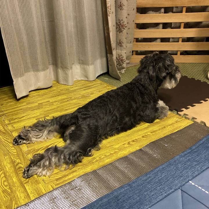 4da0d908 23a2 4b71 a0c5 20faecd532d3 1664885999843