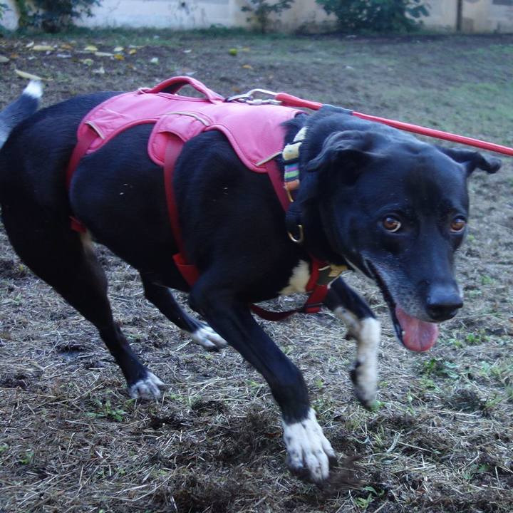 4da0dce2 19e2 41d4 a7cc 878e3558eafb 1697504395865