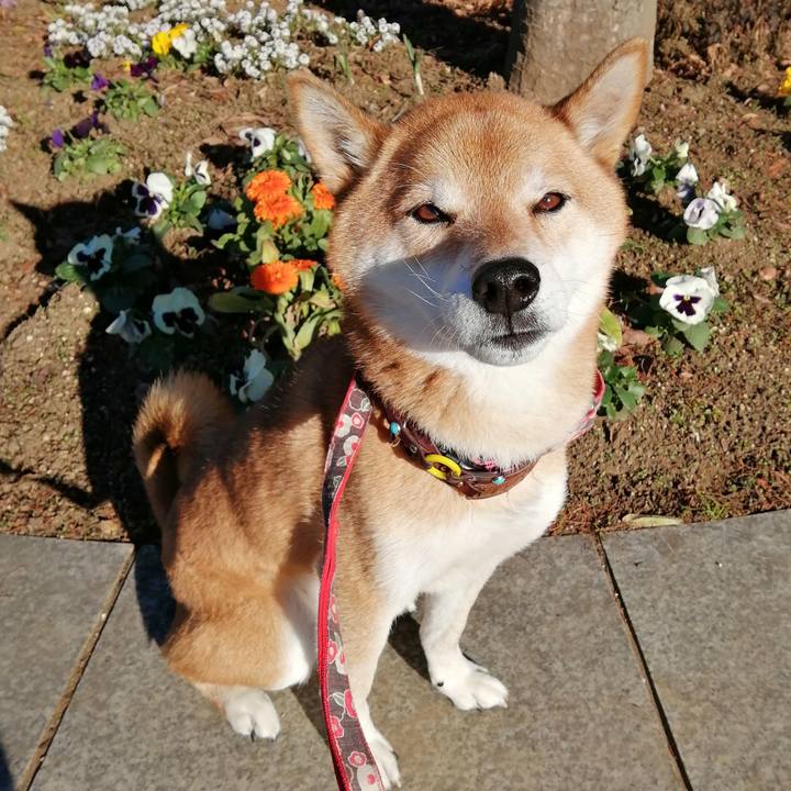 4da10360 c762 477e 8e7b 35d3de9df9ab 1640134251736