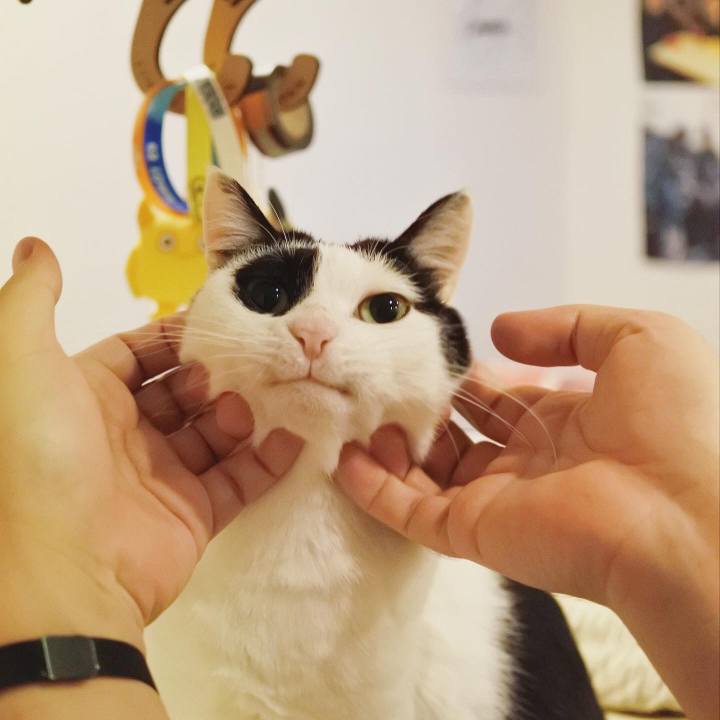 4da11a4e f8b9 4076 875c 188a32d7901a 1613350445840