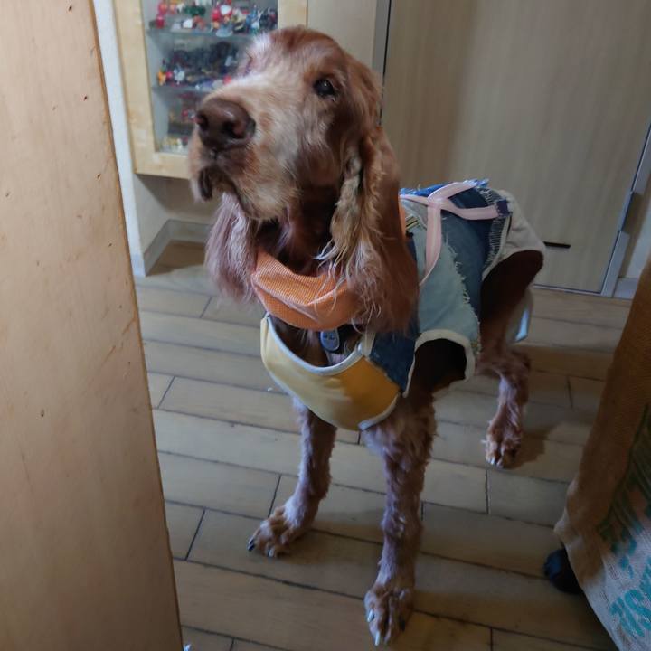 4da1823e bdab 4652 8142 5394a7686d37 1733829214869