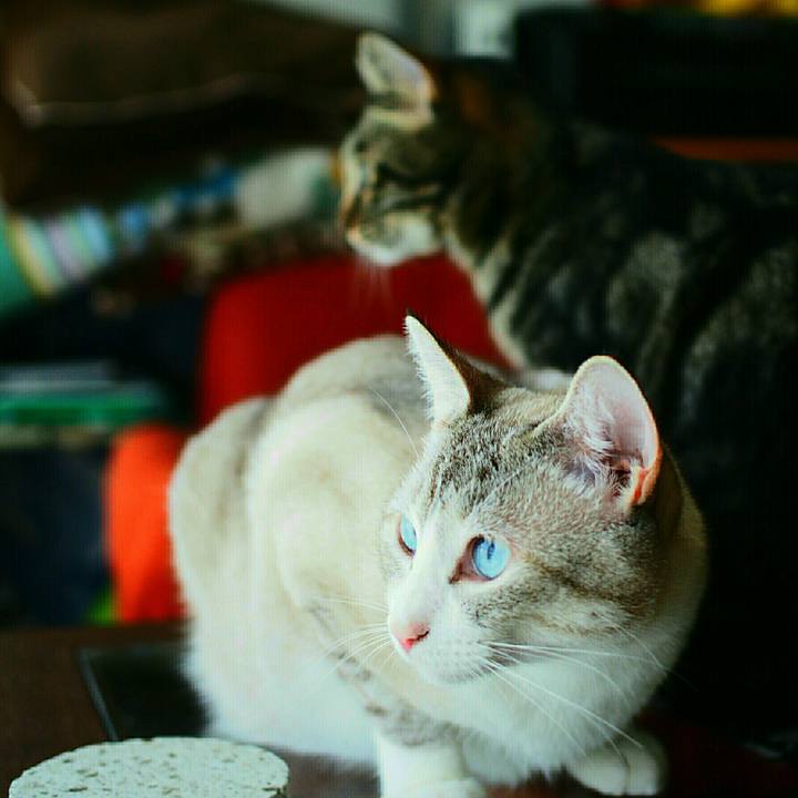 4da1c6e8 3d92 4526 a9a8 fc985872c601 1534687452417