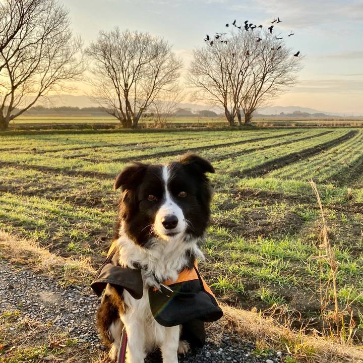 4da1ceea 885e 4ee8 b390 5cff175bbb1e 1611789079285