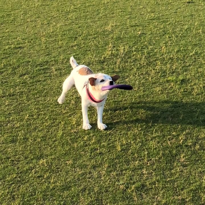 4da20cee e392 4f37 ae58 ada062cbb5ed 1529832834583