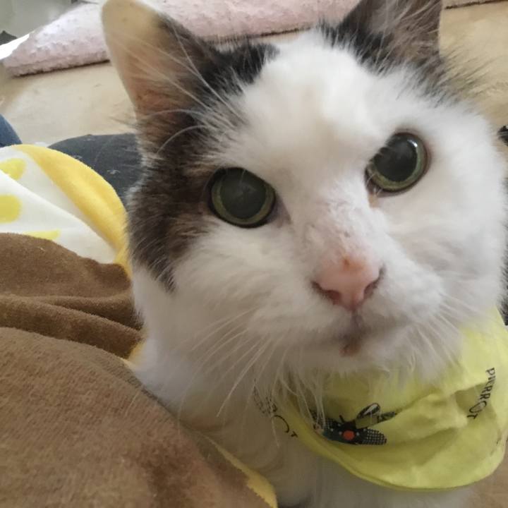 4da25576 191d 46cd 85e5 840e0b3b7118 1576465844384