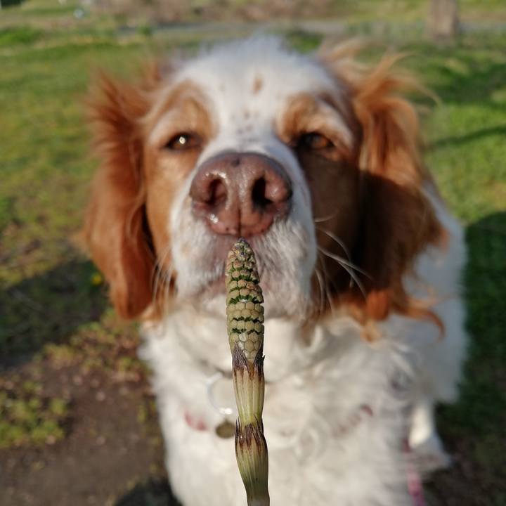 4da26aea 27db 4244 97c4 43ea3b3fe678 1615712845167