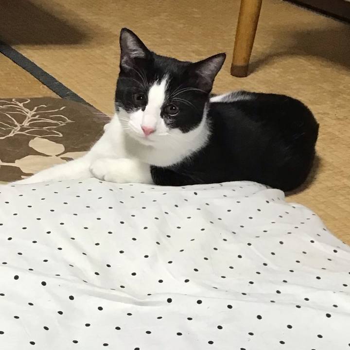 4da2b752 36cf 4bda bd33 66c2a265b928 1634463624156