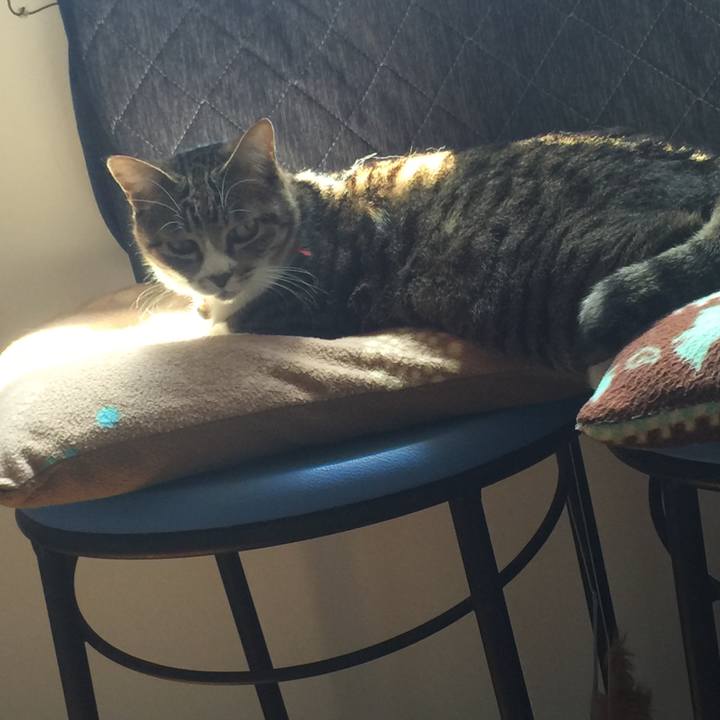 4da2d379 b768 4902 b9e2 28b97b0b6228 1555727814938