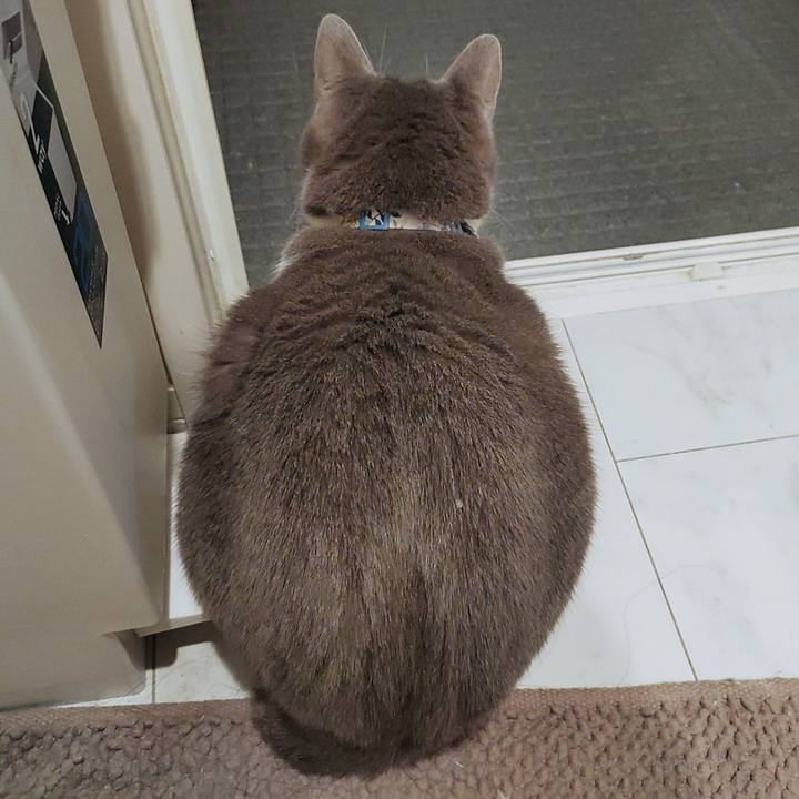 4da2f91f 6345 410f a7ee 022e1c6bfe7e 1671487482745