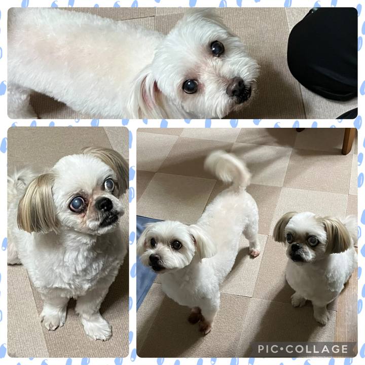 4da32a40 3c36 4682 bd46 5c40595f33dc 1725014270337