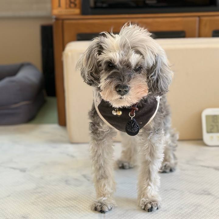 4da33f43 06f9 4104 88fc 460e8cef1777 1766040866744