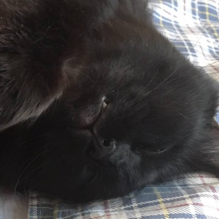 4da358dd 138f 4faa b050 3e6780c835f8 1511494399078