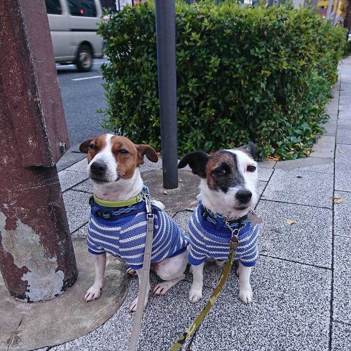 4da364b2 d713 432c 9b28 e33701fbd18f 1576708171168