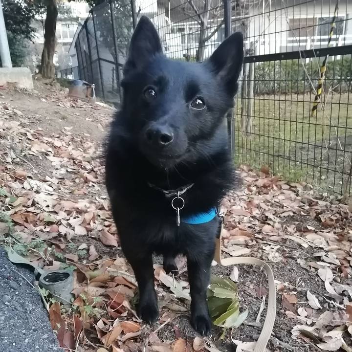 4da39c5e 8359 4e22 9284 384d816d2be8 1612476526455