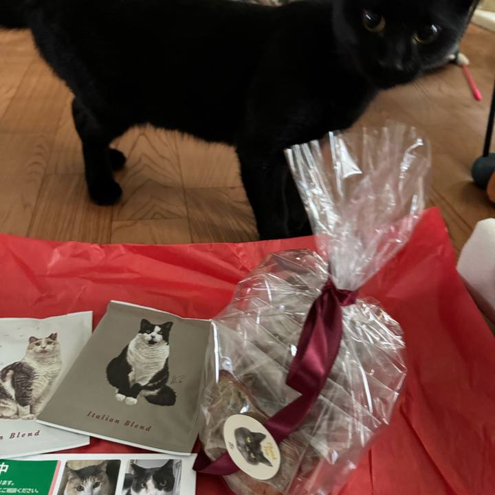 4da42cd0 b723 4ca3 ae85 05e35430a836 1730244469631