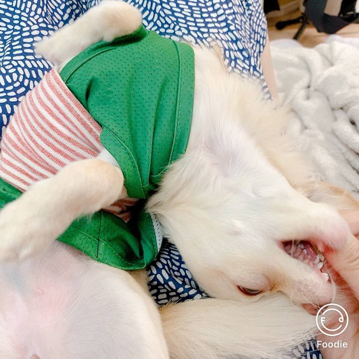 4da44765 1721 439e a6a6 9d61c39300cc 1599012427807