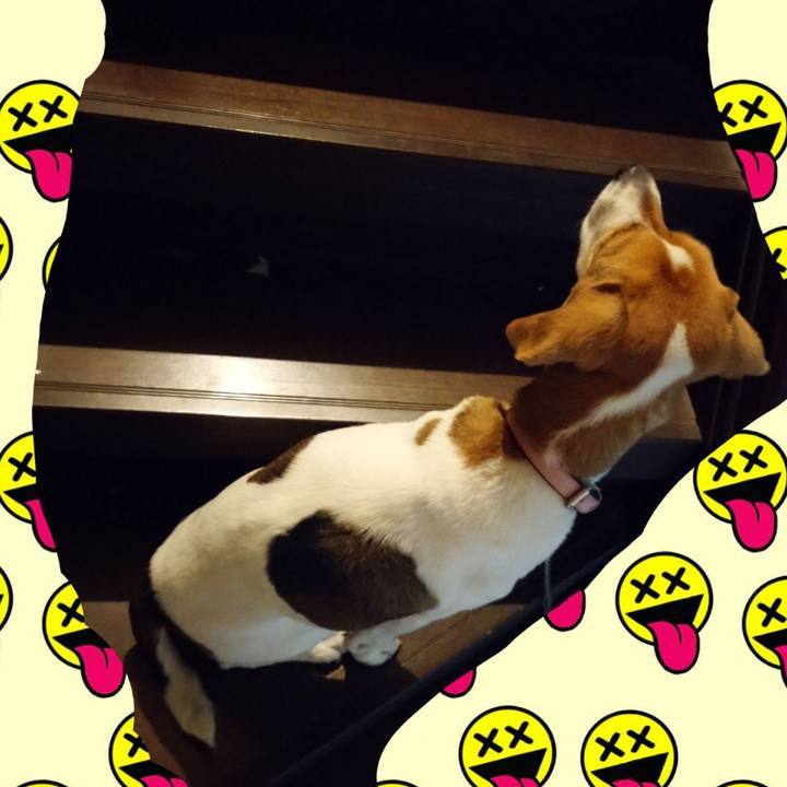 4da4530b c40b 4871 94ab 3f8e9340a7fe 1587737611112