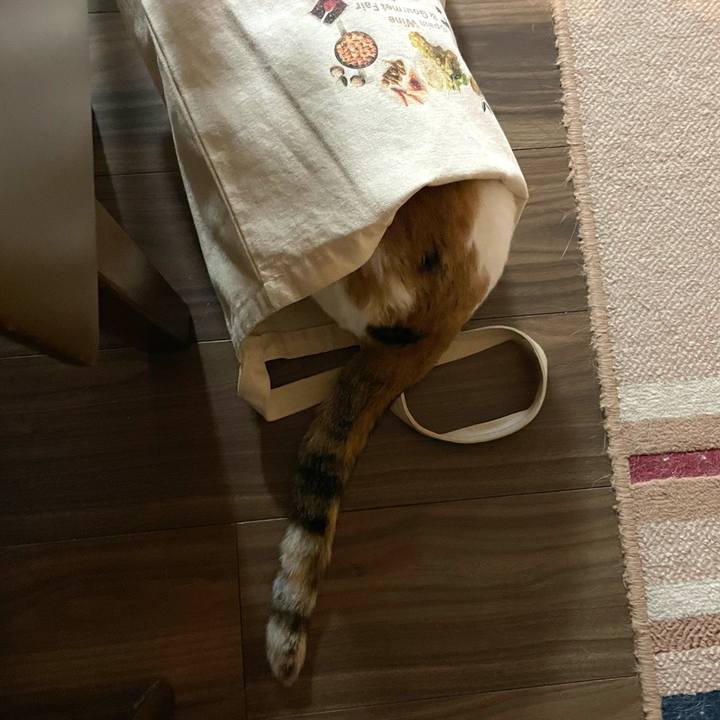 4da461bc 10e7 4932 9d4e 992a810f06a8 1669779097713