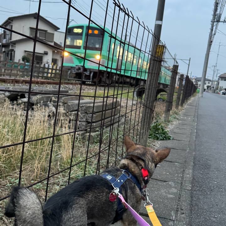 4da4695b 6eff 4fbf b51c 81cba41b639f 1764730523395