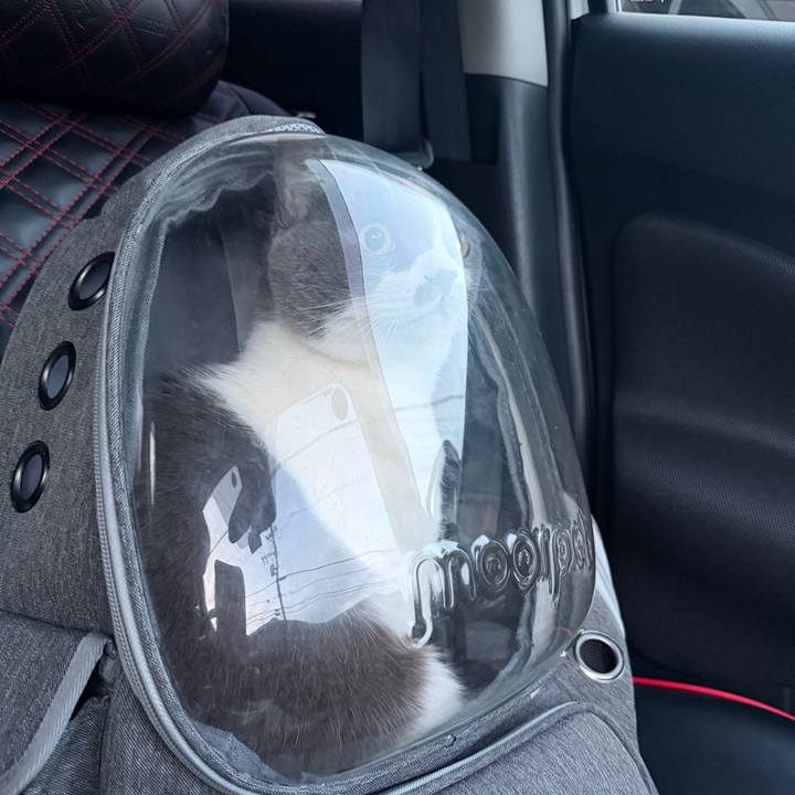 4da46cc1 f58c 4f3d 882d ec8e27ca5c3d 1767254055587