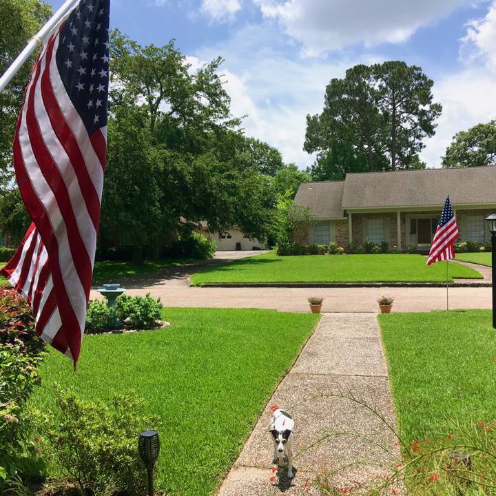 4da4c06b b578 4b65 9d22 ccd27b4223c6 1558994495856