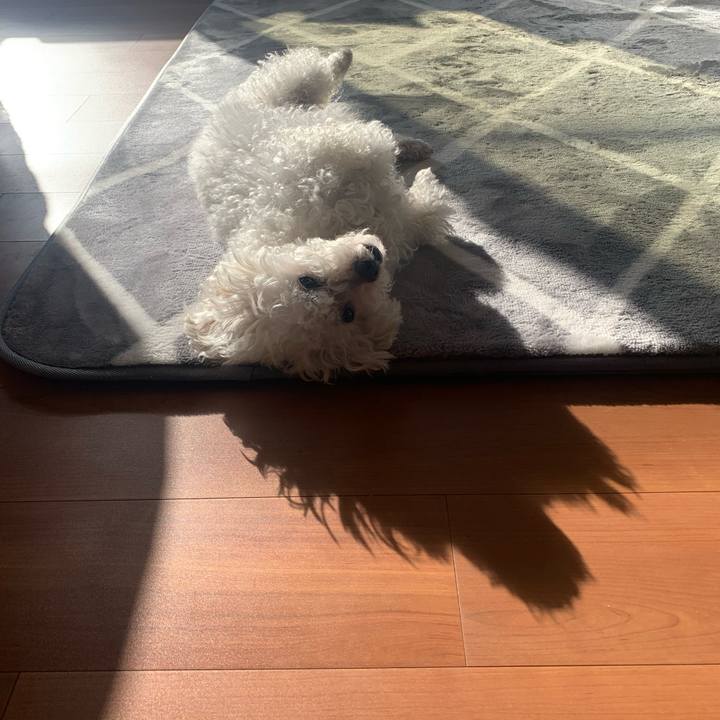 4da4fbe8 ccbd 4c9d 98a6 f072e48a0d05 1675124838135