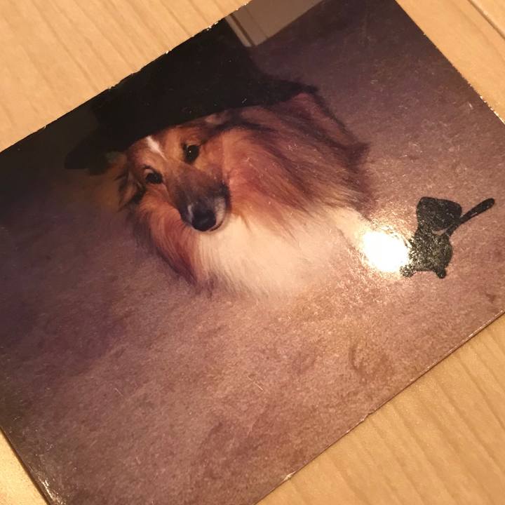 4da55699 c2db 41b2 83df c34b522db21b 1528938959884