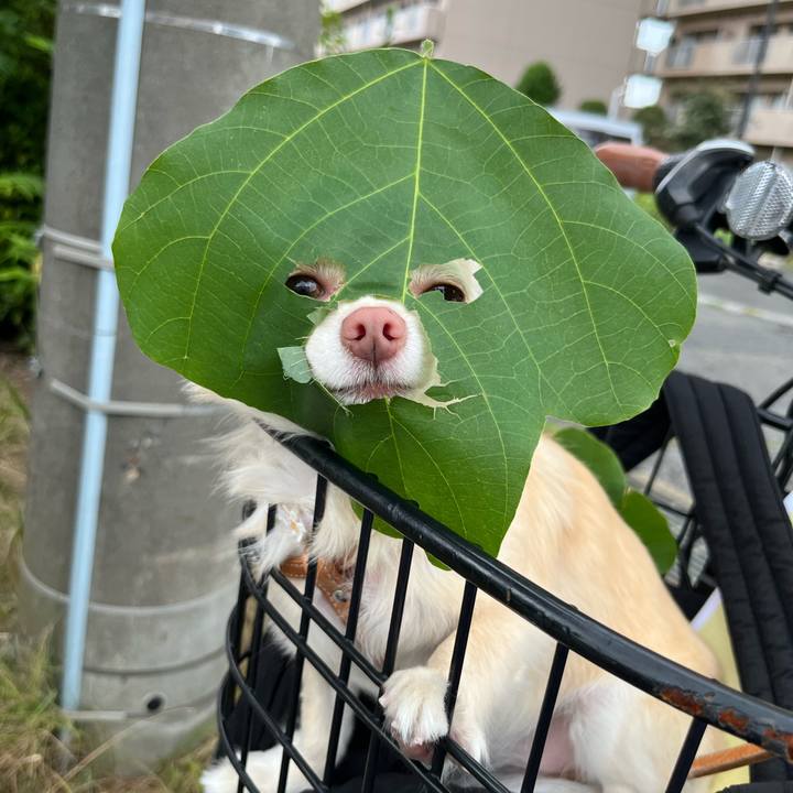 4da571da 0f82 4374 8eb8 3291a54650c7 1727406576573