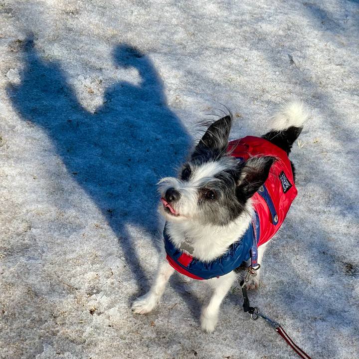 4da5761b 7afb 480a a2fa c96a45a8fb15 1767425828431