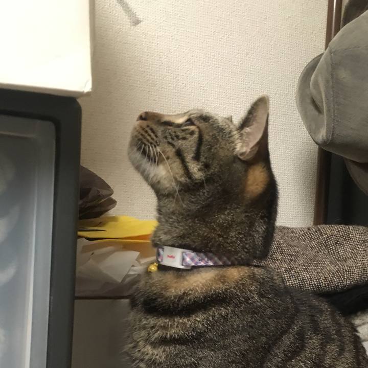 4da59c13 72e1 4baa a990 d84acb989959 1577021455812