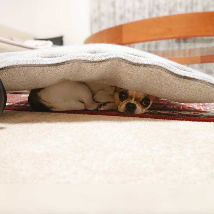 4da5ad1c 504f 4046 b89f 569b8a44123d 1578562470006