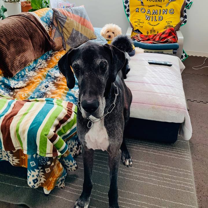 4da5b819 28a9 4925 bd64 c791d70c5531 1603234082380