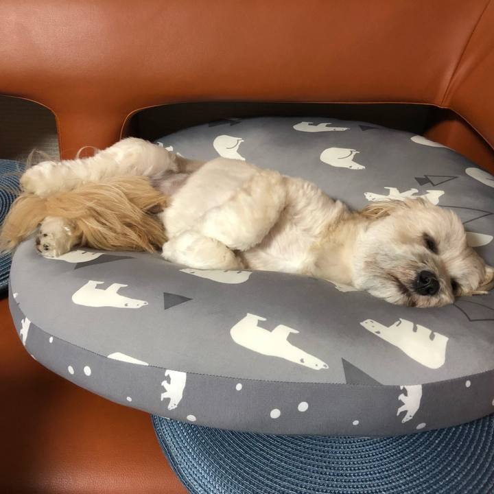 4da5ceff a6ed 4139 b705 0cf5f3774b69 1532356358934