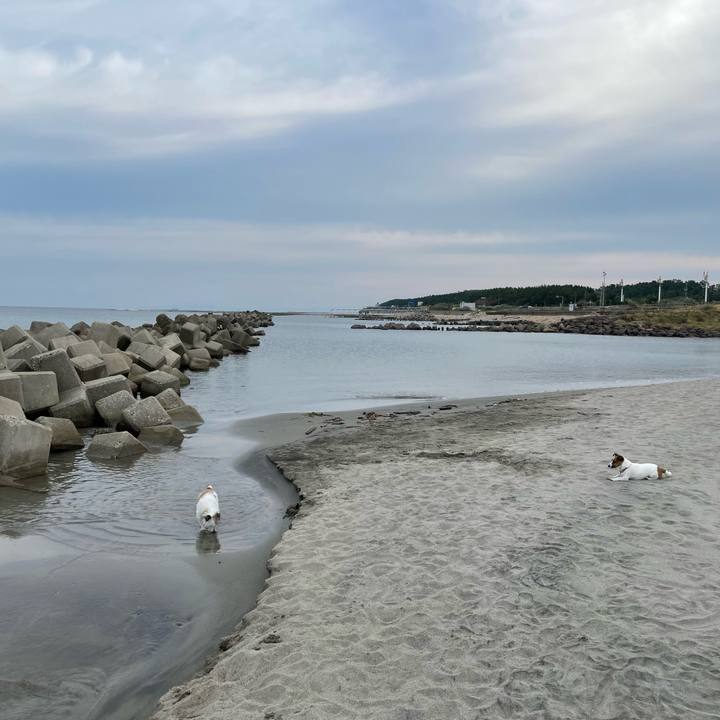 4da60ccf 1bda 44ed 85c6 25d1e460f09b 1664754491850