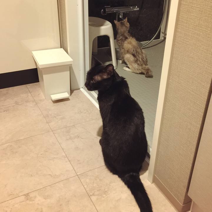 4da622ba 6a7b 49bf b63d 6d6b1cb19044 1588586895163