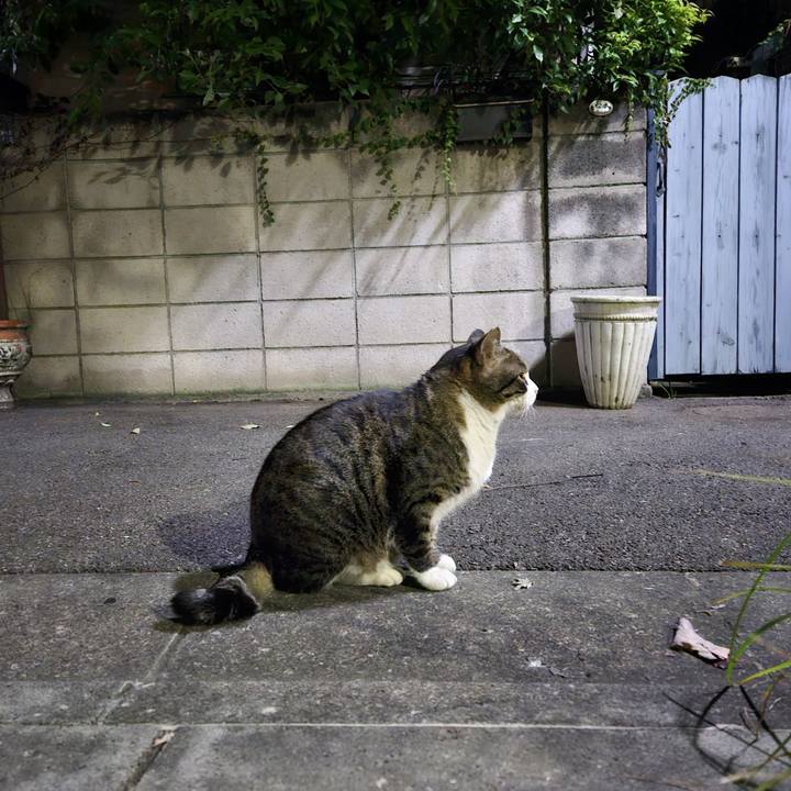 4da65bd3 dba5 4f4e a618 1b68e6193fc3 1698736383891