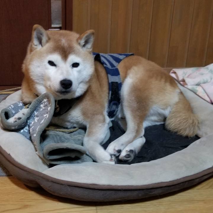 4da66d4b 37c4 41dc 8a83 4e917ea90106 1670152881479