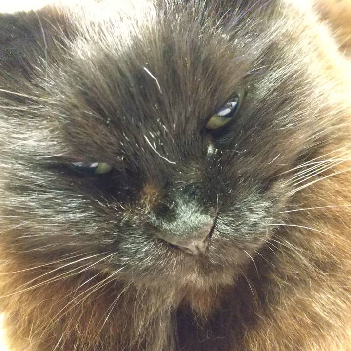 4da68cb6 af63 4ae6 a3d9 86d980b10c2d 1651233663494