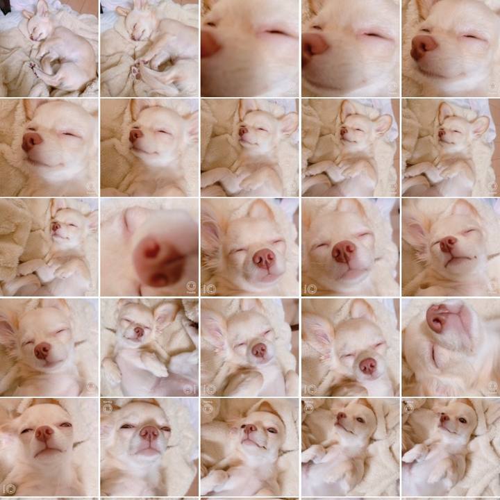 4da6a5d0 a3cd 4a14 b088 3eb04f47cd3f 1602468081376