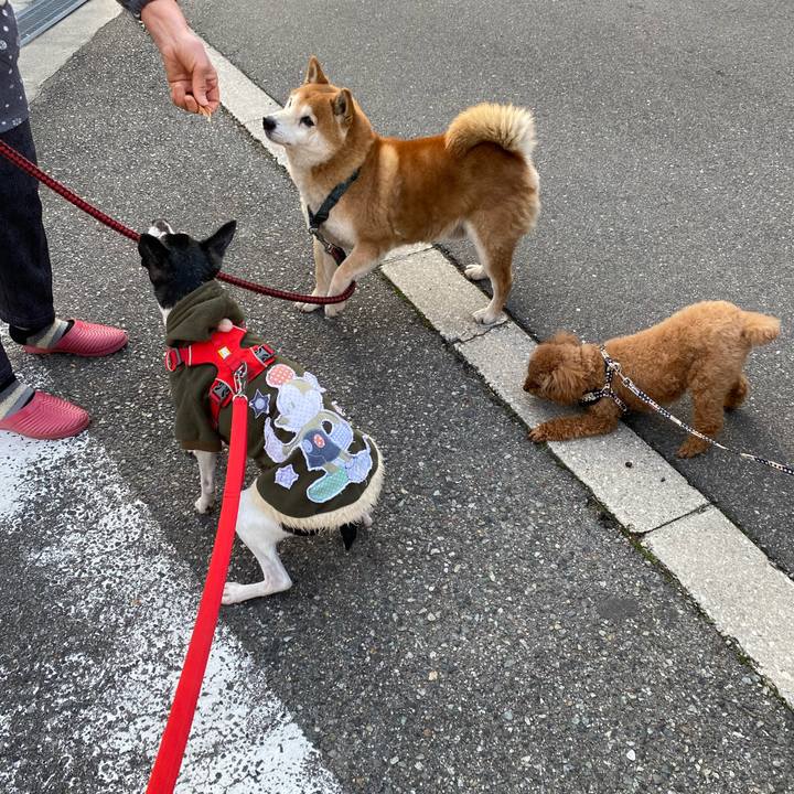 4da6bd06 7e29 4476 aee9 3acb6e5ea99d 1612661056481