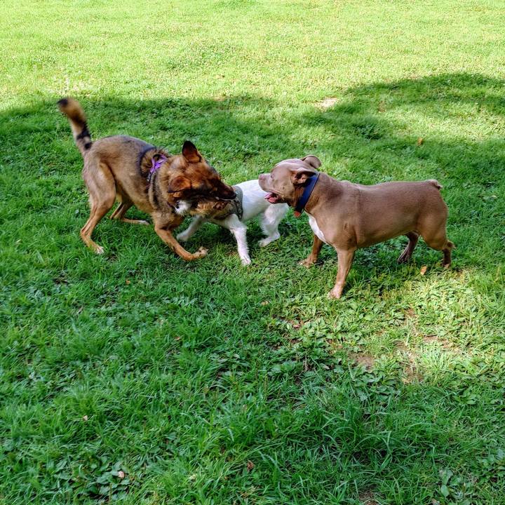 4da6c4e0 c1b9 4901 804f 1ea0a82df483 1751071798920