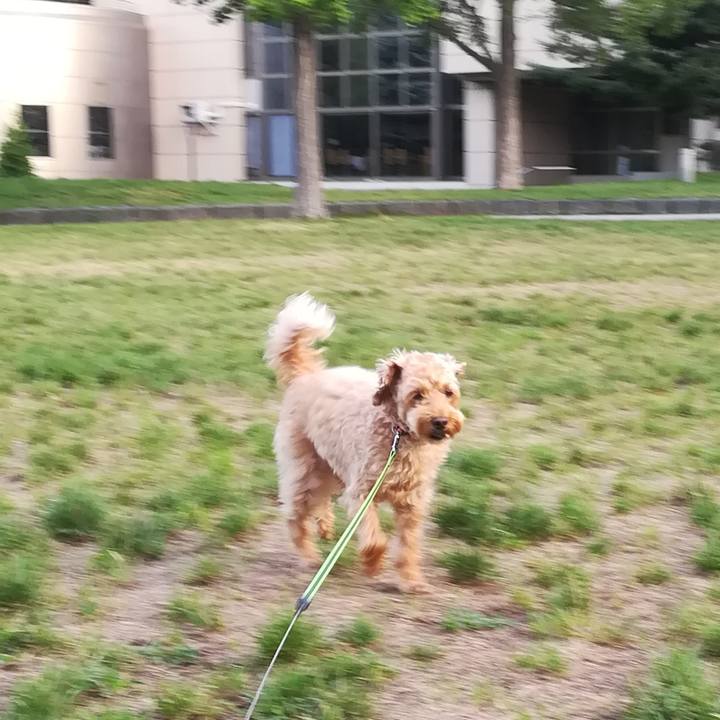 4da6ca0e 8b81 4251 8cfe 783cbaddbbd6 1565735675345